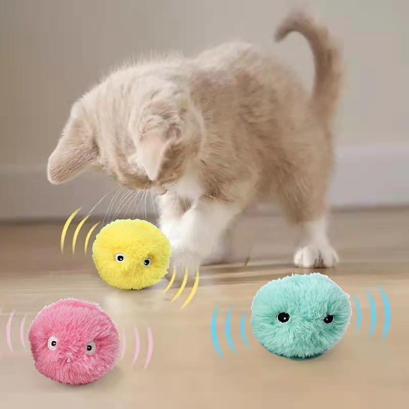 Interactive Catnip Ball